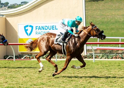 Thought Process and jockey Hector I. Berrios win the $100,000 Del Mar Juvenile FIllies Turf, Saturday, September 7, 2024 at Del Mar Thoroughbred Club, Del Mar CA.<br>
&#169; BENOIT PHOTO