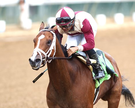 Miss Justify wins the 2024 Seneca Overnight Stakes at Churchill Downs