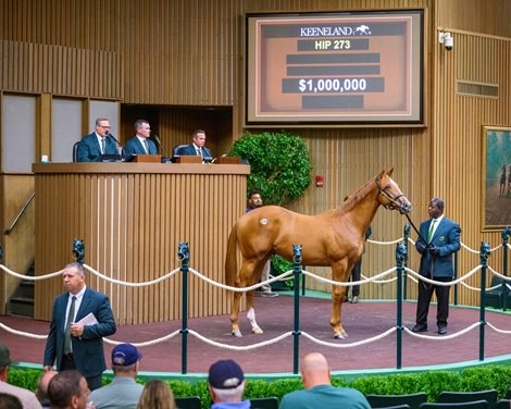 Hip 273 colt by Justify out of Undercover Justice at Woods Edge<br>
Scenes from the Keeneland September sale near Lexington, Ky., on Sept. 10, 2024.