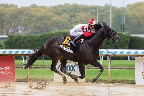 Mufasa wins the 2024 Vosburgh Stakes at Aqueduct Racetrack