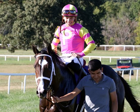 Grand Sonata wins the 2024 Kentucky Turf Cup Stakes at Kentucky Downs