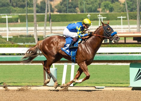 Kalea Bay, Maiden Win, Santa Anita Park, September 28 2024