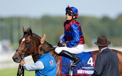 Jan Brueghel (Sean Levey) after the St Leger<br>
Doncaster 14.9.24 Pic: Edward Whitaker