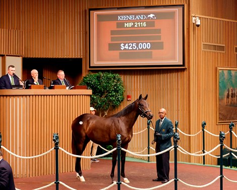 Hip 2116, Keeneland 2024 September Promotion