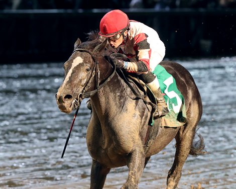 Three Technique wins the 2024 Ack Ack Stakes at Churchill Downs