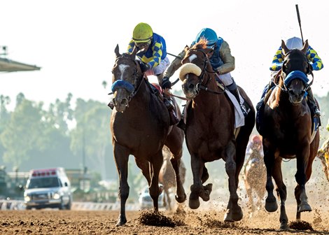 Wathnan Racing’s Subsanador and jockey Mike Smith (center, white shadow-roll) win the inaugural California Crown Stakes, Grade I $1,000,000, on Saturday, September 28, 2024 at Santa Anita Park, Arcadia, CA barely outfinishing National Treasure and Flavien Prat, right, and Newgate and John Velazquez, left..<br>
Benoit Photo Wathnan Racing’s Subsanador and jockey Mike Smith (center, white shadow-roll) win the inaugural California Crown Stakes, Grade I $1,000,000, on Saturday, September 28, 2024 at Santa Anita Park, Arcadia, CA barely outfinishing National Treasure and Flavien Prat, right, and Newgate and John Velazquez, left..<br>
Benoit Photo