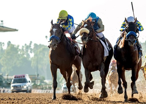 Wathnan Racing’s Subsanador and jockey Mike Smith (center, white shadow-roll) win the inaugural California Crown Stakes, Grade I $1,000,000, on Saturday, September 28, 2024 at Santa Anita Park, Arcadia, CA barely outfinishing National Treasure and Flavien Prat, right,  and Newgate and John Velazquez, left..<br>
 Benoit Photo