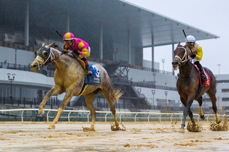 Tapit Trice wins the 2024 Woodward Stakes at Aqueduct Racetrack