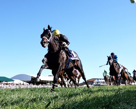 Howard Wolowitz wins the 2024 Franklin-Simpson Stakes at Kentucky Downs