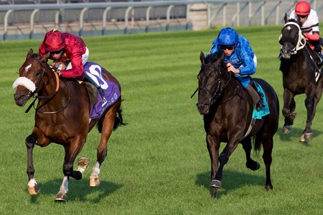 Toronto ON.September 14, 2024.Woodbine Racetrack.Jockey Oisin Murphy guides New Century (GB) to victory in the $500,000 dollar bet365 Summer Stakes (Grade I) Breeders&#39;s Cup Challenge Series &quot;Win and You&#39;re IN&quot; Juvenile Turf.New Century is owned by Qatar Racing LLC and trained by Andrew Balding.Woodbine/ Michael Burns Photo