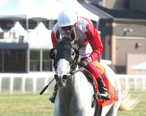 Limited Liability wins the 2024 Blackwood Distilling Nashville Gold Cup Stakes at Kentucky Downs