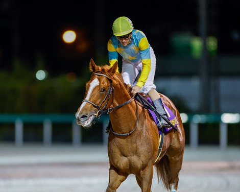 Derma Sotogake places fifth in the 2024 Nippon TV Hai at Funabashi Racecourse