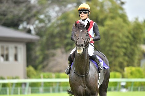 The 2024 Sprinters Stakes (G1) won by Lugal, orange cap, ridden by Atsuya Nishimura, trained by Haruki Sugiyama, owned by Yoshimasa Ema. Nakayama Race Course - September 29, 2024 - All photos by Katsumi Saito