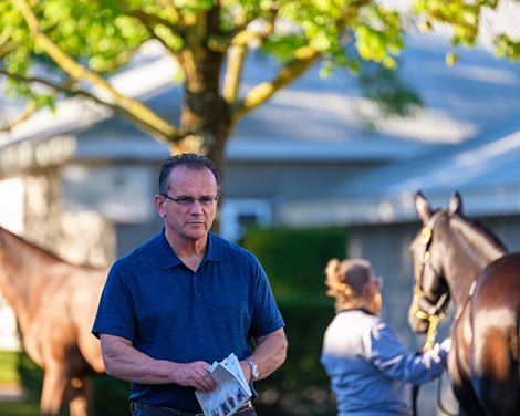 John Sikura looking at yearlings<br>
Scenes from the Keeneland September sale near Lexington, Ky., on Sept. 7, 2024.