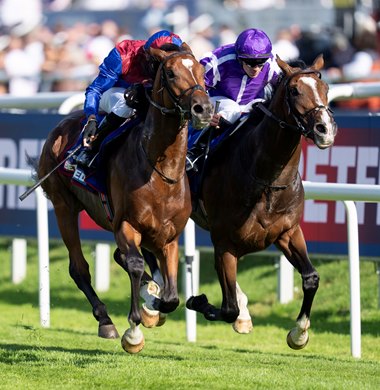 Jan Brueghel (Sean Levey) beats Illinois in the St Leger<br>
Doncaster 14.9.24 Pic: Edward Whitaker
