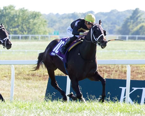 Howard Wolowitz wins the 2024 Franklin-Simpson Stakes at Kentucky Downs