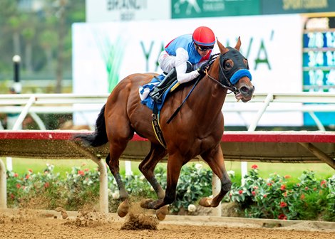 Zedan Racing’s Muth and jockey Juan Hernandez win the $125,000 Shared Belief Stakes Sunday, September 1, 2024 at Del Mar Thoroughbred Club, Del Mar, CA<br>
Benoit Photo