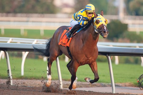 Toronto ON.September 14, 2024.Woodbine Racetrack.Jockey Sofia Vives guides Patches O'Houlihan to victory in the Branded Cities Vigil Stakes for owner Frank Di Giulio Jr. and trainer Robert Tiller.Woodbine/ Michael Burns Photo