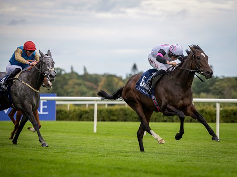 Porta Fortuna (Tom Marquand) winners of the Coolmore America 'Justify' Matron Stakes Gr.1.<br>
Irish Champions Festival day 1.<br>
Leopardstown.<br>
Photo: Patrick McCann/Racing Post<br>
14.09.2024