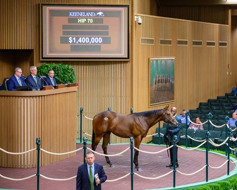 Hip 70 colt by Charlatan out of Guarana at Hill 'n' Dale at Xalapa<br>
at the Keeneland September sale near Lexington, Ky., on Sept. 9, 2024.