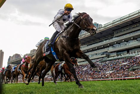 Golden Sixty with Vincent Ho wins the Longines Hong Kong Mile durring the Longines Hong Kong international Races on December 10, at Sha Tin Racecourse in Hong Kong, China. Photo By: Alex Evers/HKJC