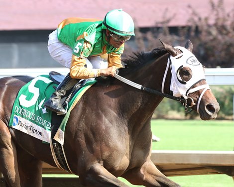 My Mane Squeeze wins the 2024 Dogwood Stakes at Churchill Downs