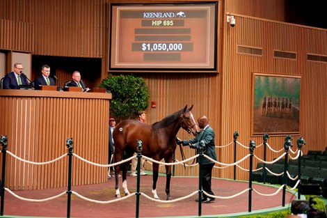 Hip 695, 2024 Keeneland September Sale