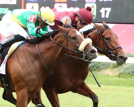 Deep Satin (inside) and Style Points dead heat in the 2024 Virginia Oaks at Colonial Downs