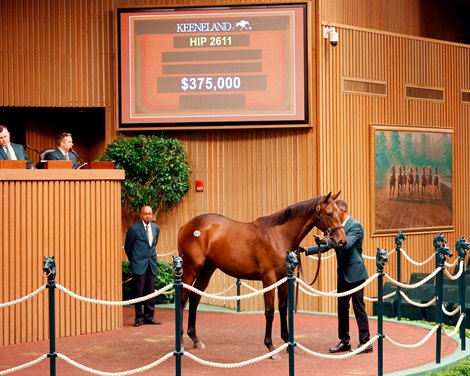 Nyquist mare consigned as Hip 2166 to the auction block