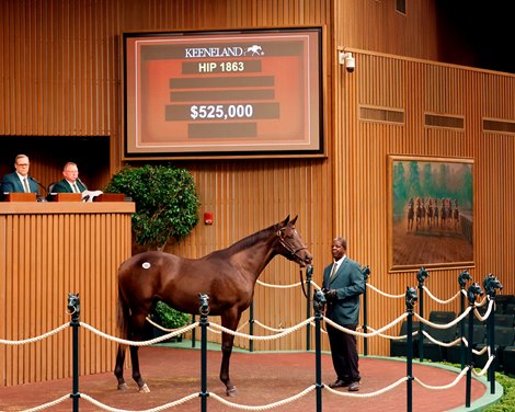 Hip 1863, purchased by Kenny McPeek at the 2024 Keeneland September Sale