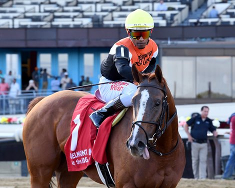 Ocean Club wins the 2024 Noble Damsel Stakes at Aqueduct Racetrack