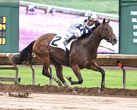 Stone Smuggler wins the 2024 Lady Finger Stakes at Finger Lakes