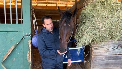 Jose D'Angelo feeds Howard Wolowitz a peppermint the morning after winning the 2024 Franklin-Simpson Stakes at Kentucky Downs