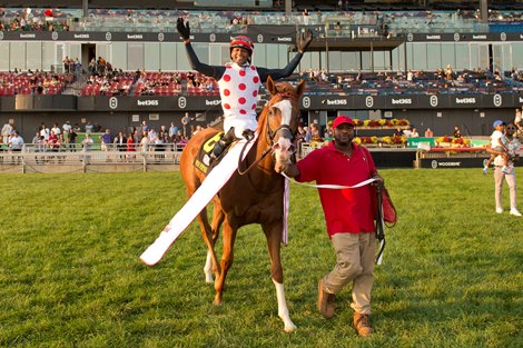 Toronto ON.September 14, 2024.Woodbine Racetrack.Jockey Patrick Husbands guides Win for the Money in the $1,000,000 dollar Rogers Woodbine Mile.Win for the Money (white red dots red cap black sleeves) is owned by Live Oak Plantation and trained by Mark Casse.Woodbine/ Michael Burns Photo