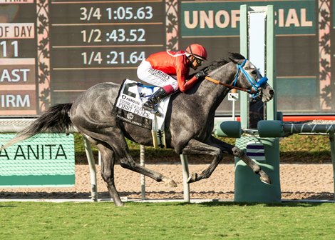 First Peace  and jockey Mike Smith win the Grade II $750,000 California Crown Eddie D Stakes Saturday, September 28, 2024 at Santa Anita Park, Arcadia, CA.<br>
Benoit Photo