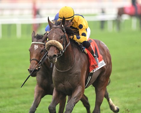 Far Bridge wins the 2024 Joe Hirsch Turf Classic Stakes at Aqueduct Racetrack