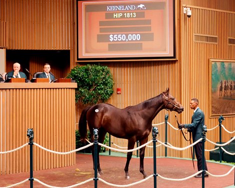 Hip 1813,  2024 Keeneland September Sale