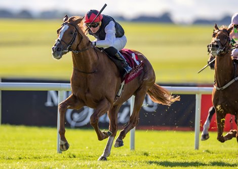 Kyprios and Ryan Moore wins the Irish St Leger. Irish Champions Festival day 2. The Curragh. Photo: Patrick McCann/Racing Post 15.09.2024