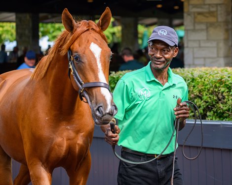 Steve Mitchell with hip 2882 colt by Collected out of Heidi Maria at Machmer Hall Sales, agent<br>
Scenes from the Keeneland September sale near Lexington, Ky., on Sept. 18, 2024.