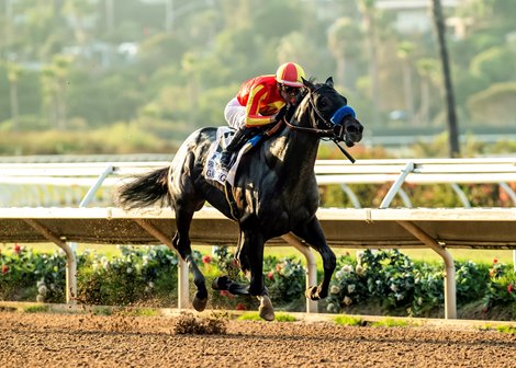 Gaming and jockey Flavien Prat win the Grade I, $300,000 Del Mar Futurity, Sunday, September 8, 2024 at Del Mar Thoroughbred Club, Del Mar CA. © BENOIT PHOTO Gaming and jockey Flavien Prat win the Grade I, $300,000 Del Mar Futurity, Sunday, September 8, 2024 at Del Mar Thoroughbred Club, Del Mar CA. © BENOIT PHOTO