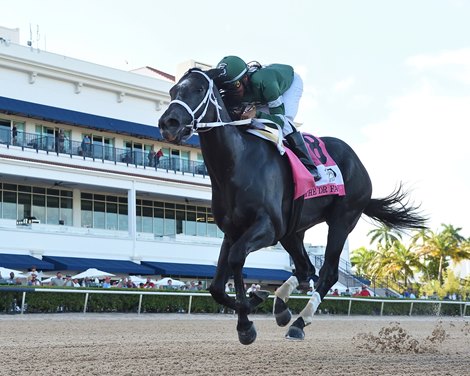 Rated by Merit wins the 2024 FTBOA Florida Sire Dr. Fager Stakes at Gulfstream Park