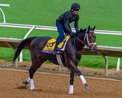 Fierceness on track at Del Mar for the first time Breeders’ Cup contenders training at Del Mar in Del Mar, California, on Oct. 28, 2024.