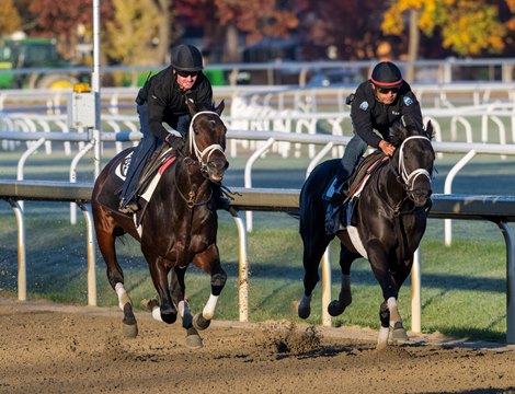 Breeders’ Cup Classic contender Fierceness, left with regular exercise rider Danny Wright has his final work in company with stablemate Illuminare before shipping to California at the at the Oklahoma Training Center Friday October 25, 2024 in Saratoga Springs, N.Y.   Photo by Skip Dickstein