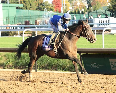 Sovereignty wins the 2024 Street Sense Stakes at Churchill Downs Sovereignty wins the 2024 Street Sense Stakes at Churchill Downs