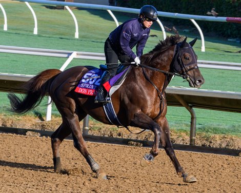 Don Frankie<br>
Breeders’ Cup contenders training at Del Mar in Del Mar, California, on Oct. 26, 2024.