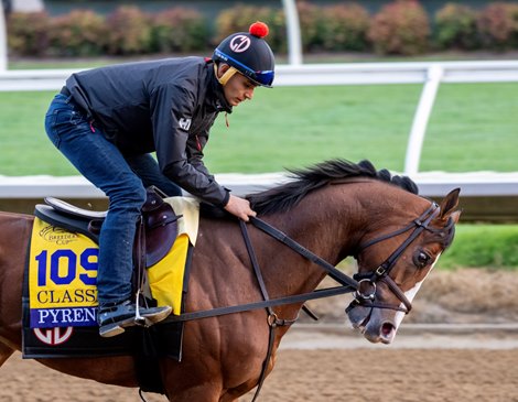 Breeders’ Cup contender Pyrenees gallops this morning during the exercise period at the Delmar Race Track Tuesday Oct. 29, 2024 in San Diego, CA.    Photo by Skip Dickstein