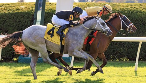 Governor Sam wins the Indian Summer S. at Keeneland, giving Paco Lopez win number 4,000.