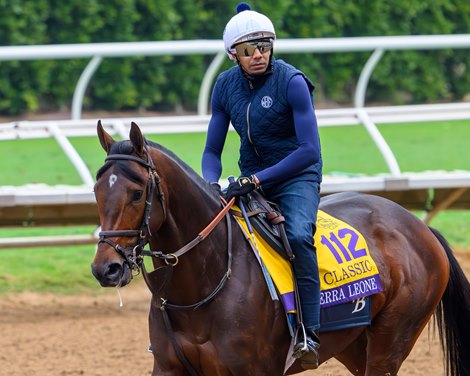 Sierra Leone<br>
Breeders’ Cup contenders training at Del Mar in Del Mar, California, on Oct. 28, 2024.