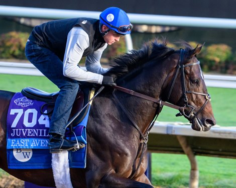 East Avenue<br>
Breeders’ Cup contenders training at Del Mar in Del Mar, California, on Oct. 27, 2024.