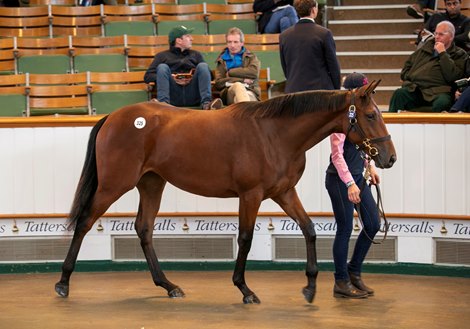 Lot 325 Sea The Stars (IRE) / Oriental Magic (GER) B.F. (IRE)       Kildaragh Stud, Ireland (Agent)    Godolphin    1,600,000<br>
Tattersalls <br>
October Yearling Sale<br>
Book 1<br>
2024-10-10